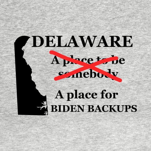 Delaware A Place To Be Somebody A Place For The Biden Backups Black Lettering Presidential Humor 2020-2024 by ColorMeHappy123